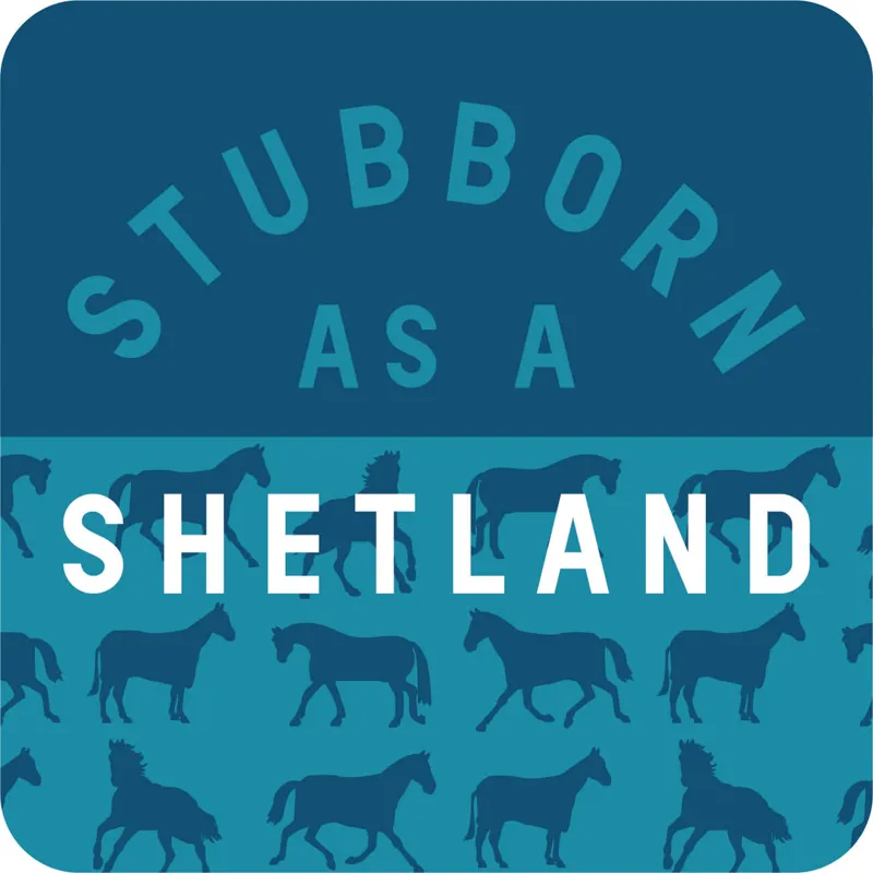Gubblecote Stubborn as a Shetland Coaster